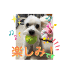 みるエマ(敬語あり)（個別スタンプ：17）