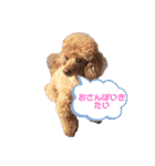 ♡alma toffee♡（個別スタンプ：3）