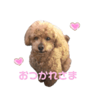 ♡alma toffee♡（個別スタンプ：5）