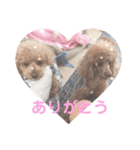 ♡alma toffee♡（個別スタンプ：7）