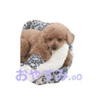 ♡alma toffee♡（個別スタンプ：11）