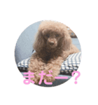 ♡alma toffee♡（個別スタンプ：14）