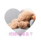 ♡alma toffee♡（個別スタンプ：15）