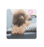♡alma toffee♡（個別スタンプ：16）