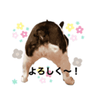 BUHI.222（個別スタンプ：8）