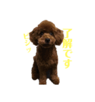 ライちゃんの可愛いスタンプ（個別スタンプ：3）