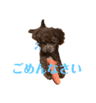 ライちゃんの可愛いスタンプ（個別スタンプ：4）