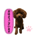 ライちゃんの可愛いスタンプ（個別スタンプ：6）