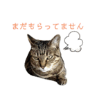 田中家の華2（個別スタンプ：5）