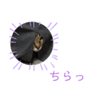 田中家の華2（個別スタンプ：8）