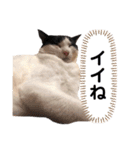 ムサまる水産2（個別スタンプ：4）