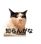 ムサまる水産2（個別スタンプ：11）