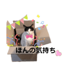 ムサまる水産2（個別スタンプ：13）