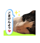 ムサまる水産2（個別スタンプ：15）