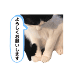 ムサまる水産2（個別スタンプ：18）