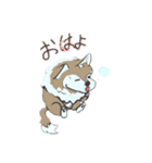 かわいいおおかみのスタンプ1（個別スタンプ：5）