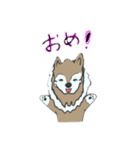 かわいいおおかみのスタンプ1（個別スタンプ：7）