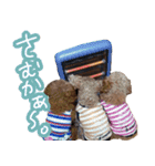 博多Moko Soul Brothers（個別スタンプ：4）