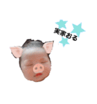 kyanon's day（個別スタンプ：16）
