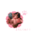 アベポンスタンプ（個別スタンプ：22）