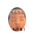 丈一郎くんのスタンプ（個別スタンプ：5）