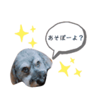 マルックス☆ラルフくん（個別スタンプ：1）