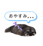 マルックス☆ラルフくん（個別スタンプ：2）