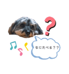 マルックス☆ラルフくん（個別スタンプ：5）