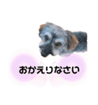 マルックス☆ラルフくん（個別スタンプ：9）