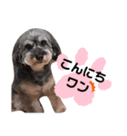 マルックス☆ラルフくん（個別スタンプ：13）