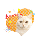 しずくねこ⑤（個別スタンプ：1）
