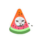しずくねこ⑤（個別スタンプ：3）