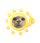 しずくねこ⑤（個別スタンプ：4）