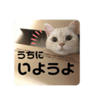 ミヌエットのしずく⑥（個別スタンプ：4）
