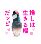 ヲタクな文鳥と恋する乙女たち（個別スタンプ：2）