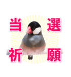 ヲタクな文鳥と恋する乙女たち（個別スタンプ：3）