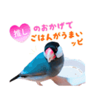 ヲタクな文鳥と恋する乙女たち（個別スタンプ：6）