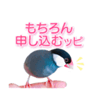 ヲタクな文鳥と恋する乙女たち（個別スタンプ：7）