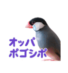 ヲタクな文鳥と恋する乙女たち（個別スタンプ：9）