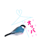 ヲタクな文鳥と恋する乙女たち（個別スタンプ：10）