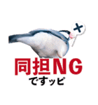 ヲタクな文鳥と恋する乙女たち（個別スタンプ：12）