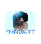 ヲタクな文鳥と恋する乙女たち（個別スタンプ：13）