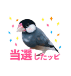 ヲタクな文鳥と恋する乙女たち（個別スタンプ：14）