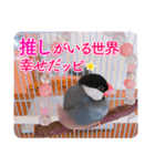 ヲタクな文鳥と恋する乙女たち（個別スタンプ：16）