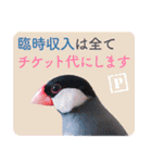 ヲタクな文鳥と恋する乙女たち（個別スタンプ：17）