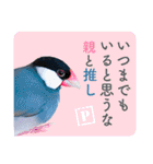ヲタクな文鳥と恋する乙女たち（個別スタンプ：18）