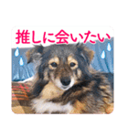ヲタクな文鳥と恋する乙女たち（個別スタンプ：25）