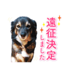 ヲタクな文鳥と恋する乙女たち（個別スタンプ：26）
