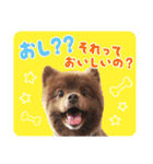 ヲタクな文鳥と恋する乙女たち（個別スタンプ：29）