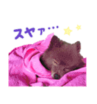 ヲタクな文鳥と恋する乙女たち（個別スタンプ：30）